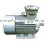 YB2 Explosion Proof Motor