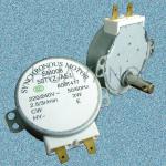 synchronous motor