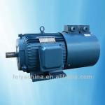 Professional manufacturer Frequency Conversion Motor-
