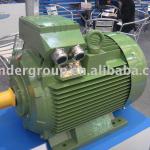 High efficiency cast iron motor (IE2)-