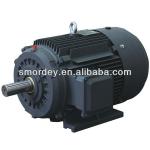 2~8 Pole SM series three phase asynchronous motor for sale-
