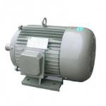 Y Series Three-Phase AC universal electric motor 250kw for universal machinery