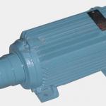 UAMT Series Motor for Glass Processing Machinery-