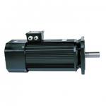 UBPS series spindle motor-