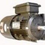 electric ac motor-