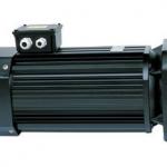 electric shaft motor-