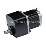 DC Stepper Parallel Shaft Gear Motor 113JB-86STH