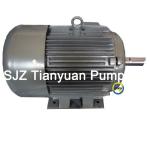 series Y2 high efficienc motor