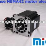 2 phase NEMA42 motor electric-