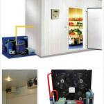 Quick Installed Cold Room-