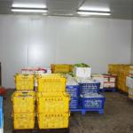 Cold Storage Room For Vegetables, Fruit And Meat-