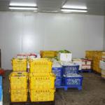 Cold Storage Room For Vegetables, Fruit And Meat