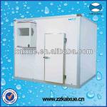 Small monoblock cold room for meat, vegetable, fruit and so on-