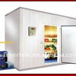 W-TEL telecom cold vegetable refrigerator storage room