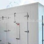 cold room door/cold storage door (Pu Panel