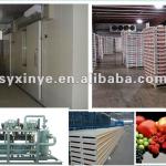 meat quick freezing room(cold storage,cold room)