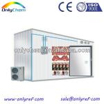 Refrigeration cold storage rooms manufacturer-