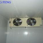 ShuangFeng cold storage for fruits and vegetables