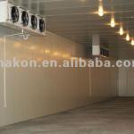 Large Capacity Industrial Freezer Cold Room