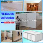 walk in freezer /walk in cold room manufacturer