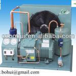 Bitzer Air cooled Cold room compressor unit