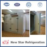 Mobile cold storage room/blaster freezer/chiller for fish and meat