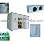 Frozen Food Fish Vegetables Cold Storage Room For Seafood Meat, Container Cold Room