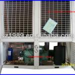 fruits and vegetables cold room refrigeration system