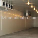 5m*8m*3m cold room for meat-