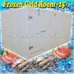 meat storage freezer room with temperature -25C