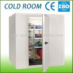 -18 or -5 freezer room, mini frozen room or fish cold storage-