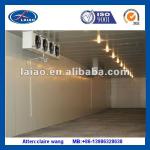 cold storage freezer cold room (cooling room /freezer/cold room)