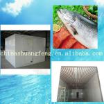 Cold Room for Fish-