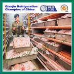 meat fish freezer-