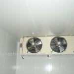 ShuangFeng walk in freezer chiller room-