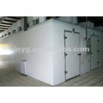 Fish and meat blast freezer cold room