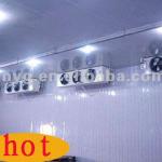Deep freezing market customized available cold room-
