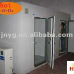 deep freezer /walk in freezer for meat/seafood/fruit-