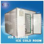 Bitzer compressor cold room price to store block ice for Africa-