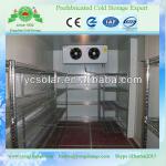 jiangsu changzhou cold room for fruit and vegetables