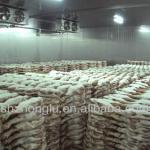 warehouse meat-