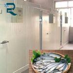 fish and meat refrigerator-