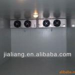 PU foaming panel fabricated cold storage for fish meat-