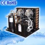 Chiller of Refrigerating air cooled condensing unit heat exchanger spare