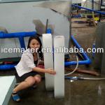 hot selling ice block machine for Africa in fishery