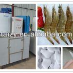 Best selling ice flake machine/ ice maker machine with CE 0086-187036165