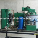 30T/Day Flake Ice Machine (Sea water)