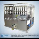 3000kg/day Ice Cube Machine For Wisky/Winery/Wine cellar/Vintry