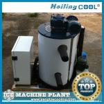 500kg per day Ocean water flake ice plant for fishing boat-