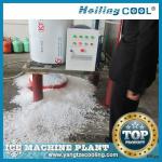 China Sea water ice maker 1500kg/day for food processing-